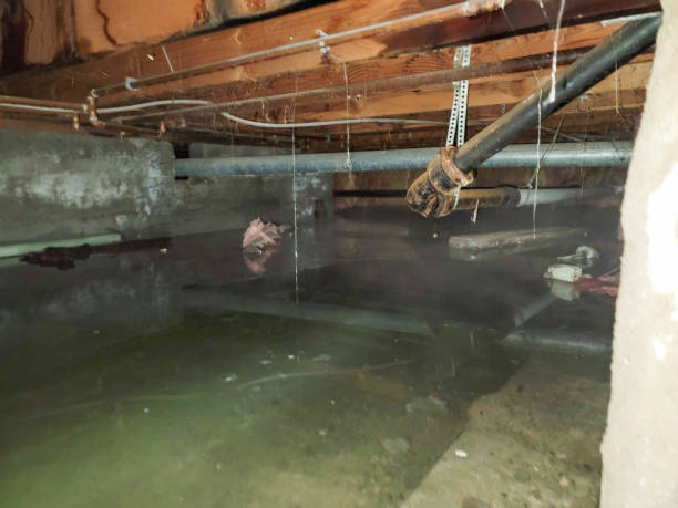 Best Water damage restoration cost  in Monticello, WI