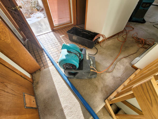 Best Water damage contractors near me  in Monticello, WI