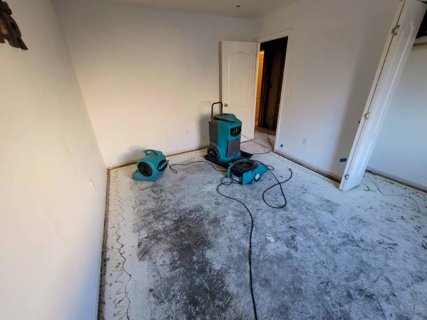 Best Ceiling water damage repair  in Monticello, WI