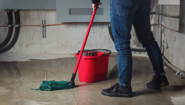 Best 24/7 water damage repair  in Monticello, WI