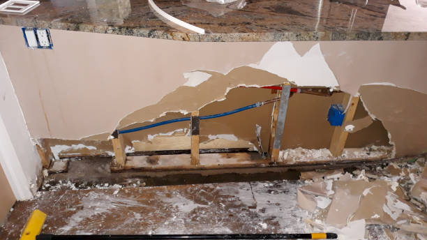 Best Fire Damage Restoration  in Monticello, WI