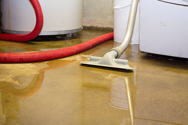 Best Local water damage restoration  in Monticello, WI