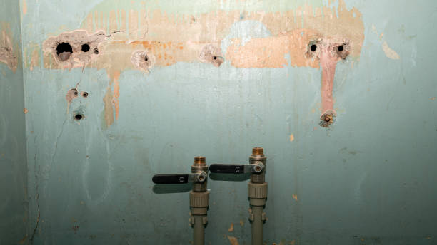 Best Water damage restoration near me  in Monticello, WI