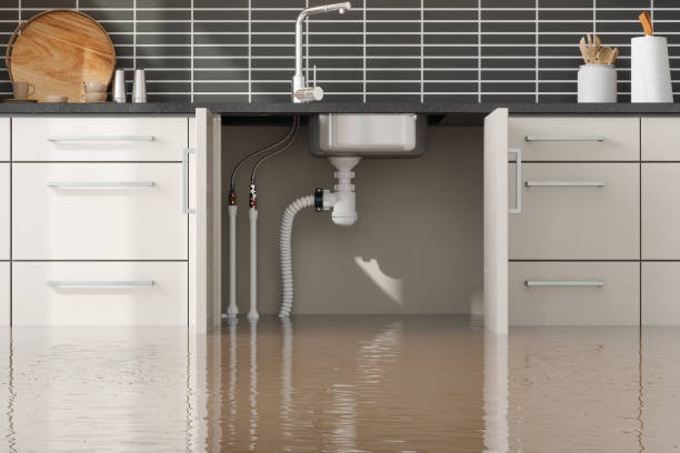 Best Flood restoration services  in Monticello, WI