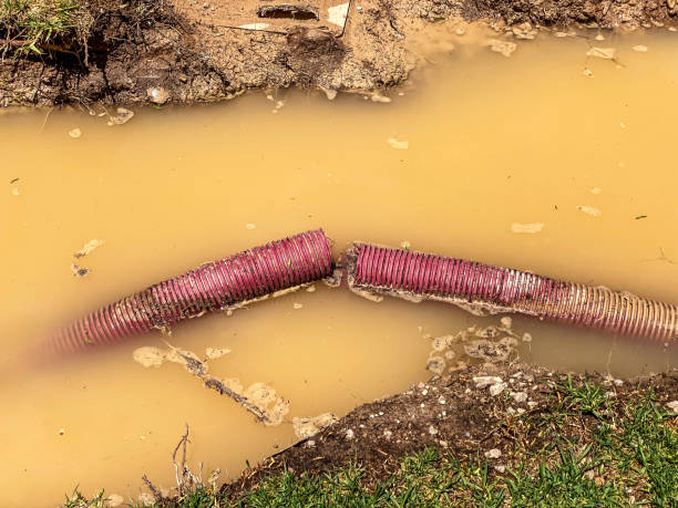 Best Water damage restoration process  in Monticello, WI