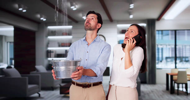 Best Water damage restoration experts  in Monticello, WI